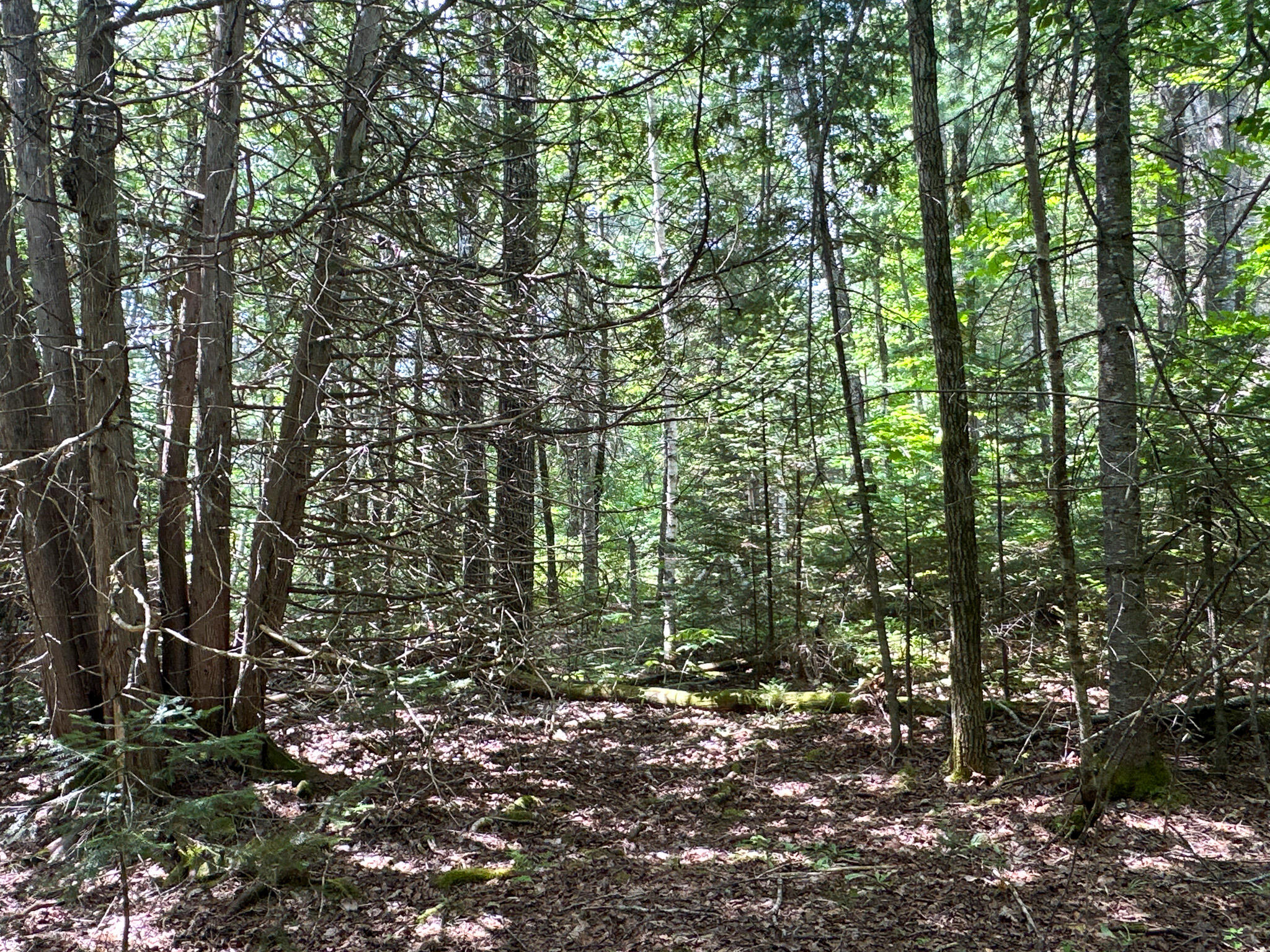 11-2 S Road Lee, ME 04455 - Photo 8 of 13 4