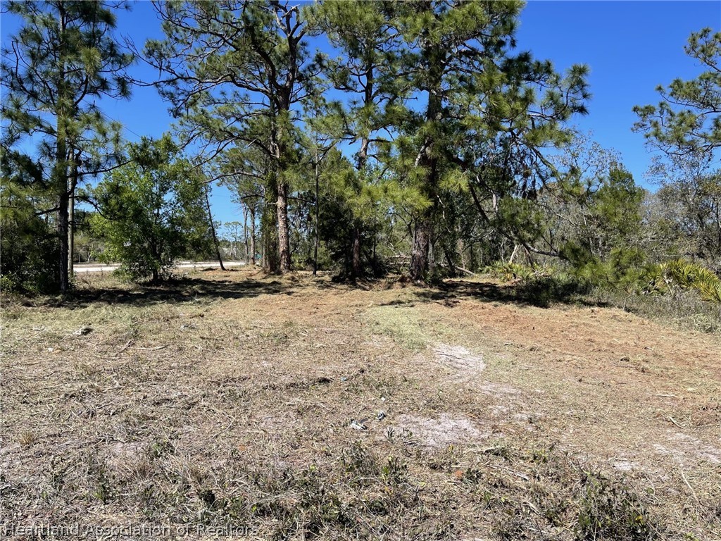 3206 State Rte 66 Sebring, FL 33875 - Photo 7 of 7