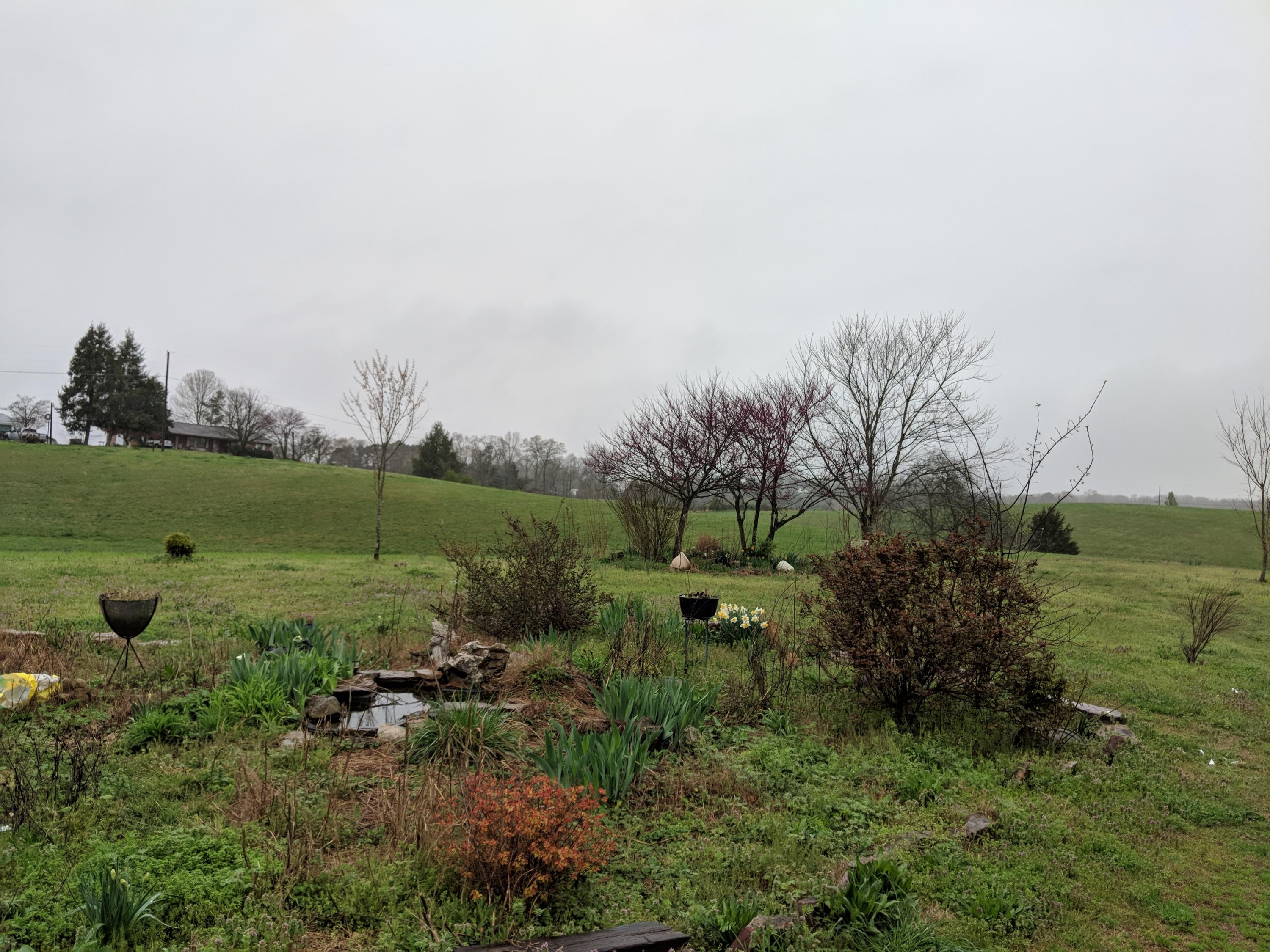 999 Myrtle Road Loudon, TN 37774 - Photo 12 of 23 IMG_20200323_131825