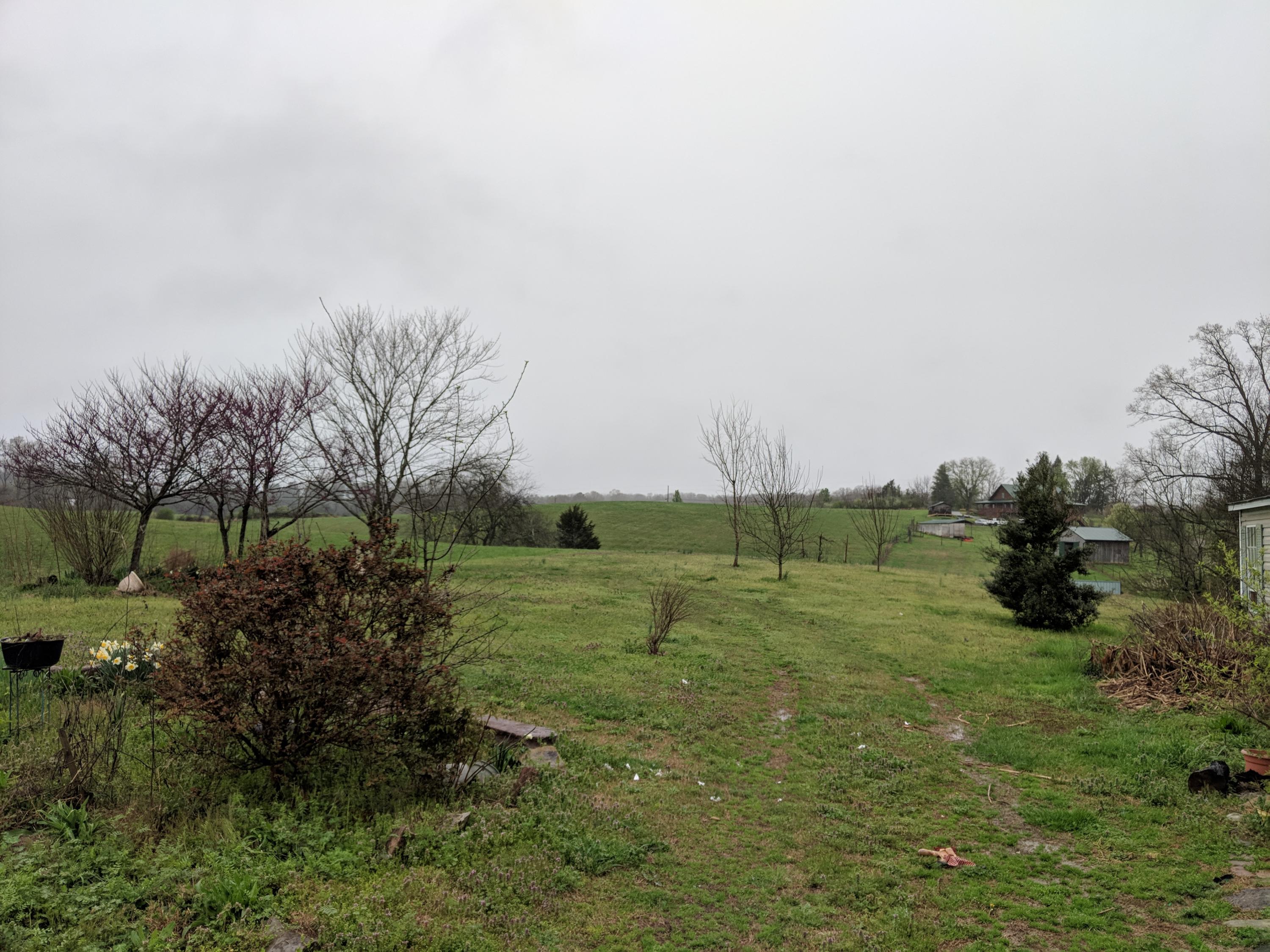 999 Myrtle Road Loudon, TN 37774 - Photo 5 of 23 IMG_20200323_130746