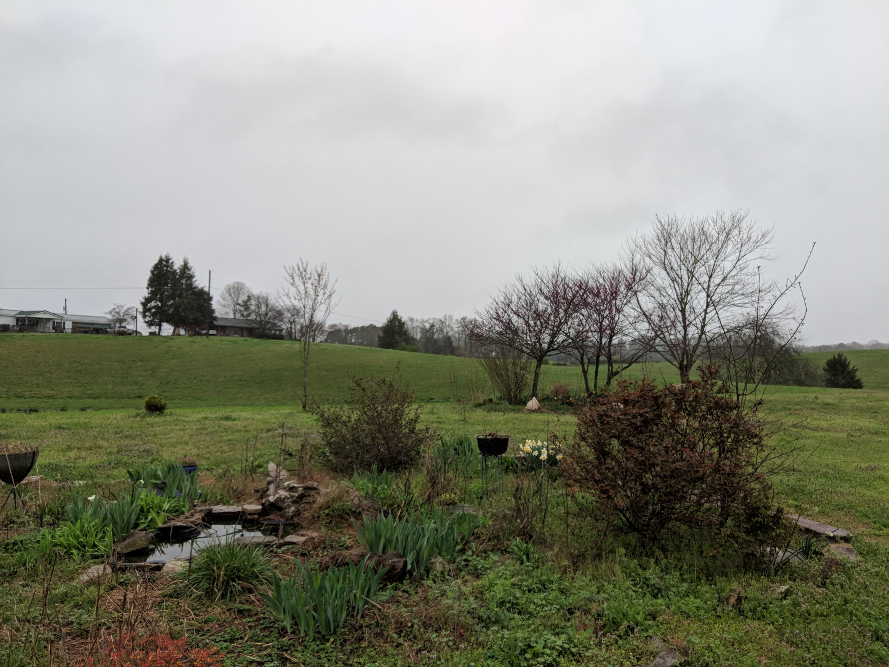 999 Myrtle Road Loudon, TN 37774 - Photo 6 of 23 IMG_20200323_130752