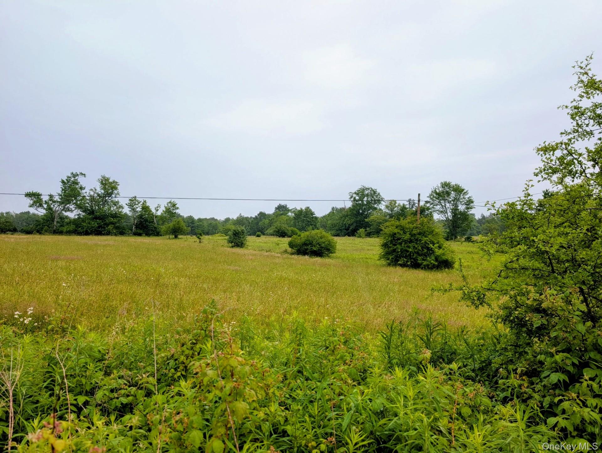 196 Gabriel Road Cochecton, NY 12726 - Photo 4 of 7 back view