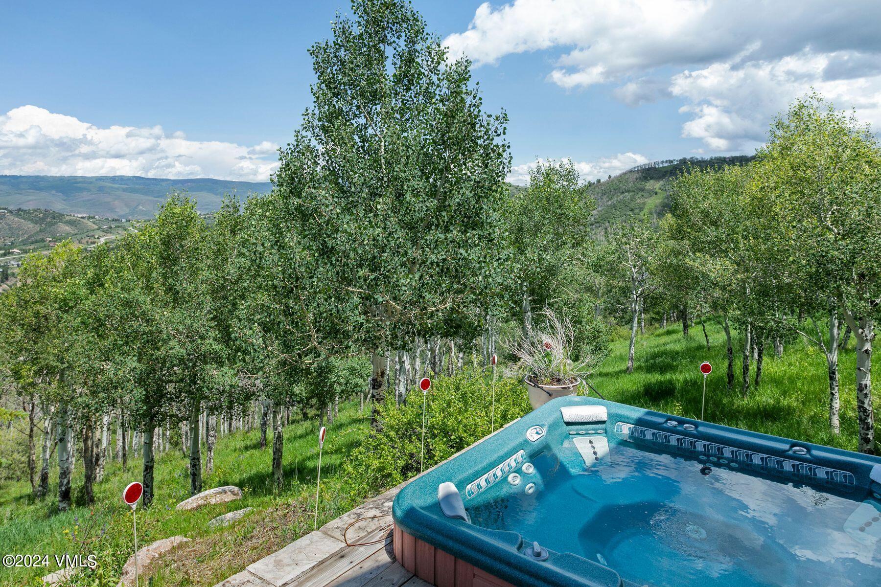 292 Aspen Meadows Road Edwards, CO 81632 - Photo 21 of 53 Hot Tub