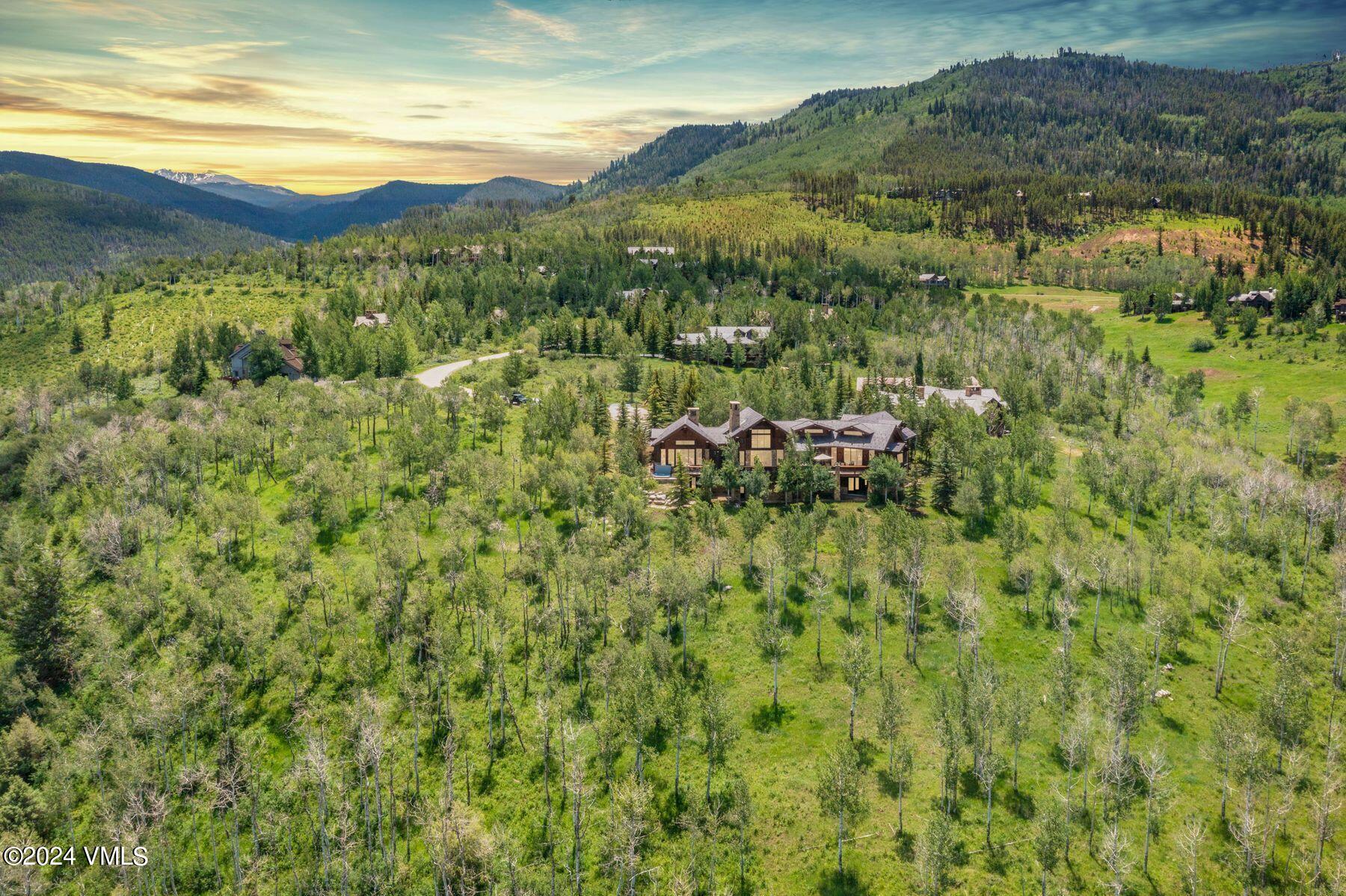 292 Aspen Meadows Road Edwards, CO 81632 - Photo 25 of 53 Aerial 3