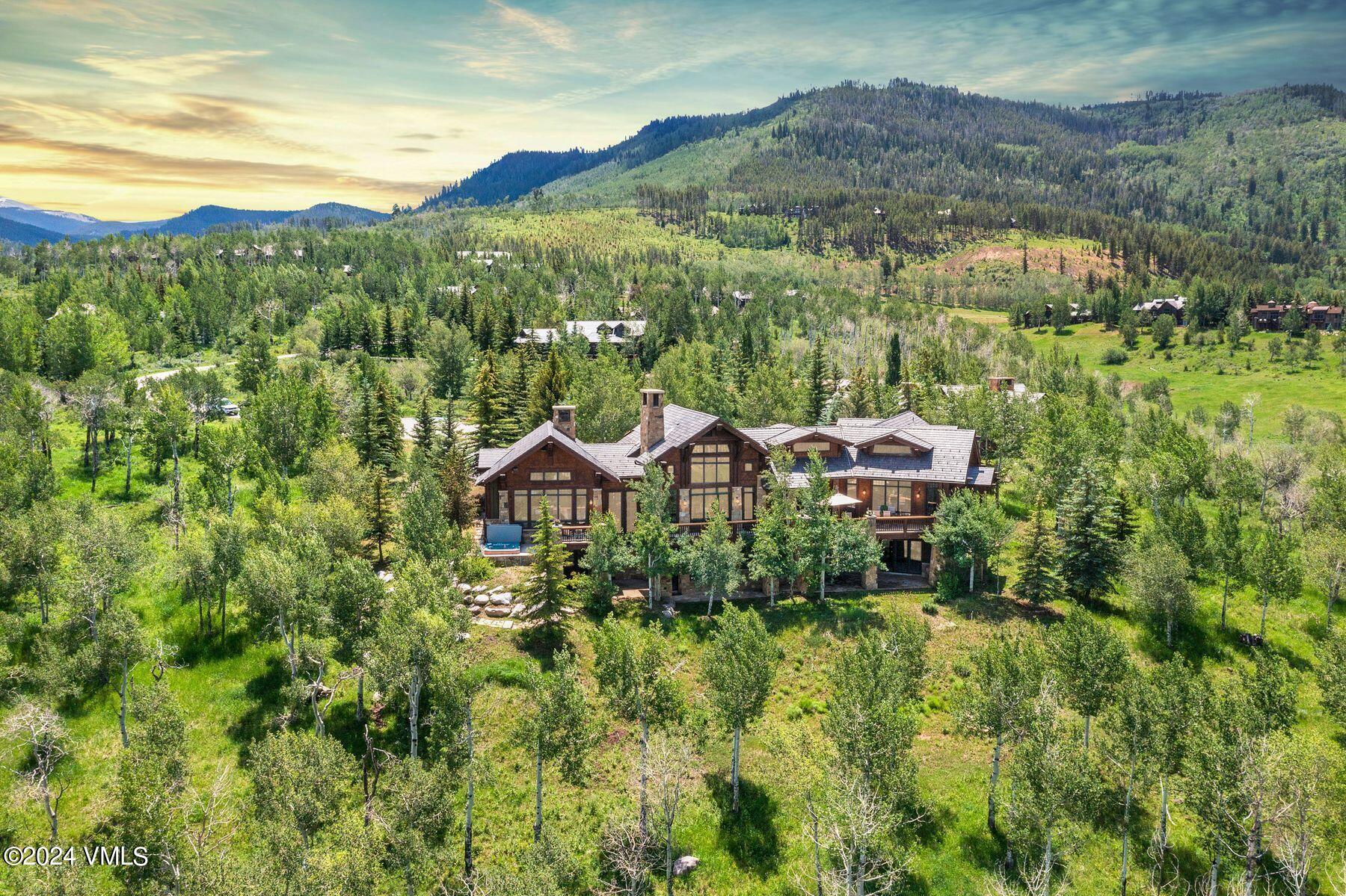 292 Aspen Meadows Road Edwards, CO 81632 - Photo 26 of 53 Aerial 4