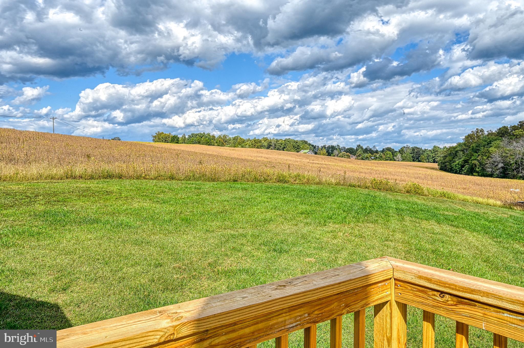 20200 Teman Road Beaverdam, VA 23015 - Photo 61 of 67 Gallery Image 61