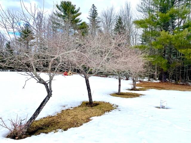 309 Beckwith Road Cornville, ME 04976 - Photo 45 of 54 IMG_6720
