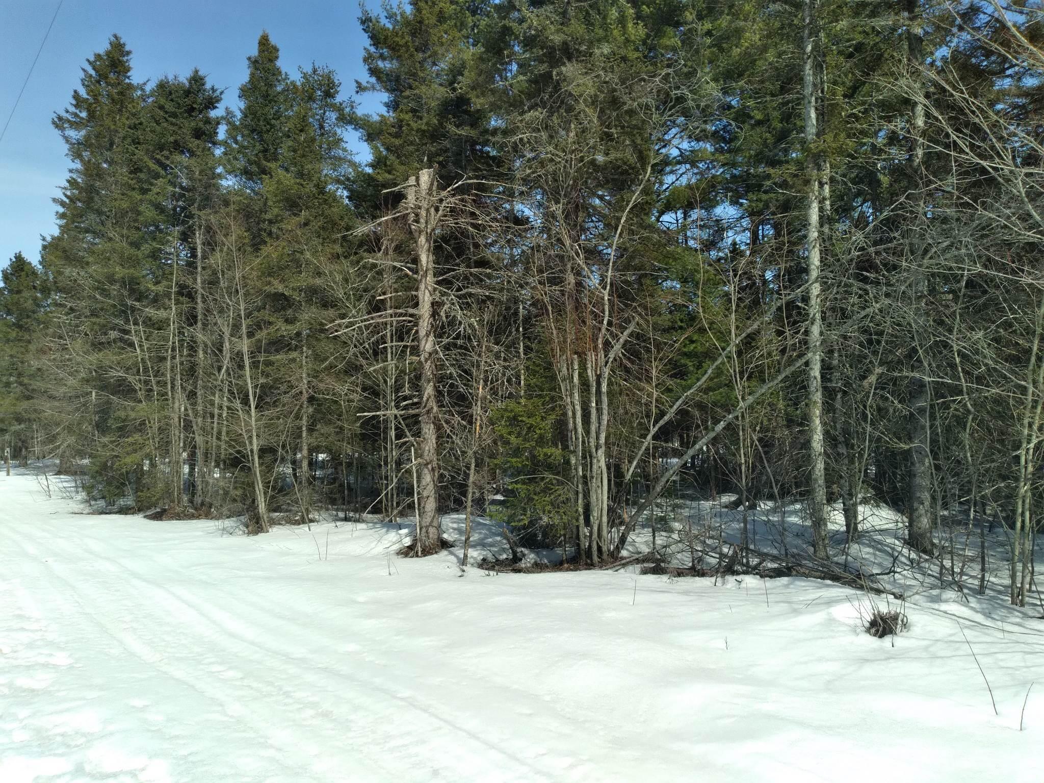 0 South Homestead Road Sault Ste. Marie, MI 49783 - Photo 2 of 8 Gallery Image 2