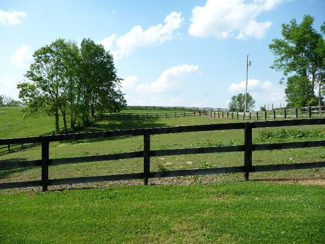 1420 Stewart Ridge Road Sparta, KY 41086 - Photo 11 of 24