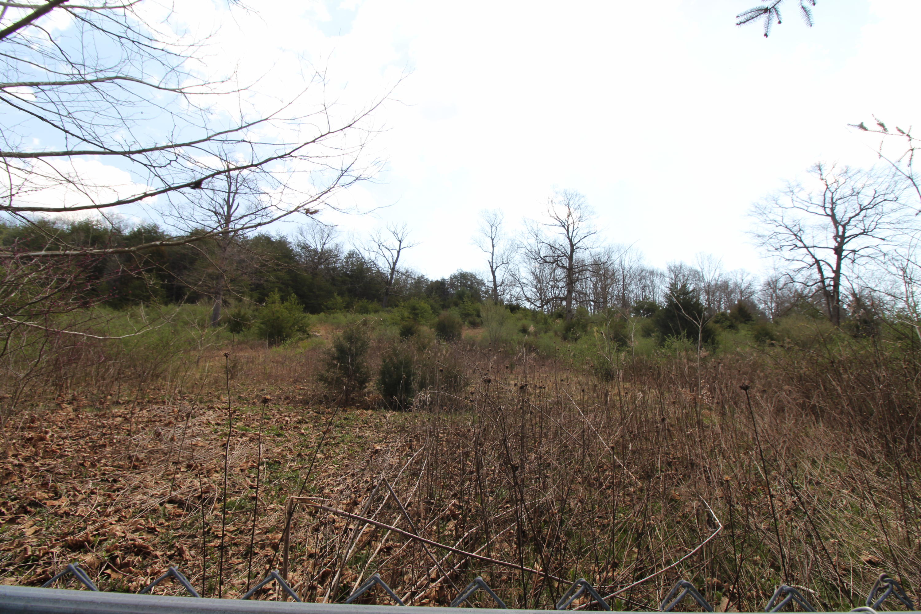 14344 State Rte 12 Forest Hill, WV 24935 - Photo 25 of 31 Gallery Image 25