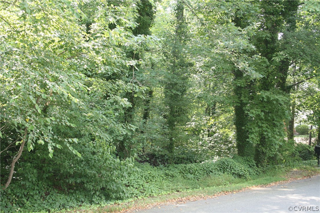 0 Ruthville Road Charles City, VA 23030 - Photo 1 of 1 Gallery Image 1