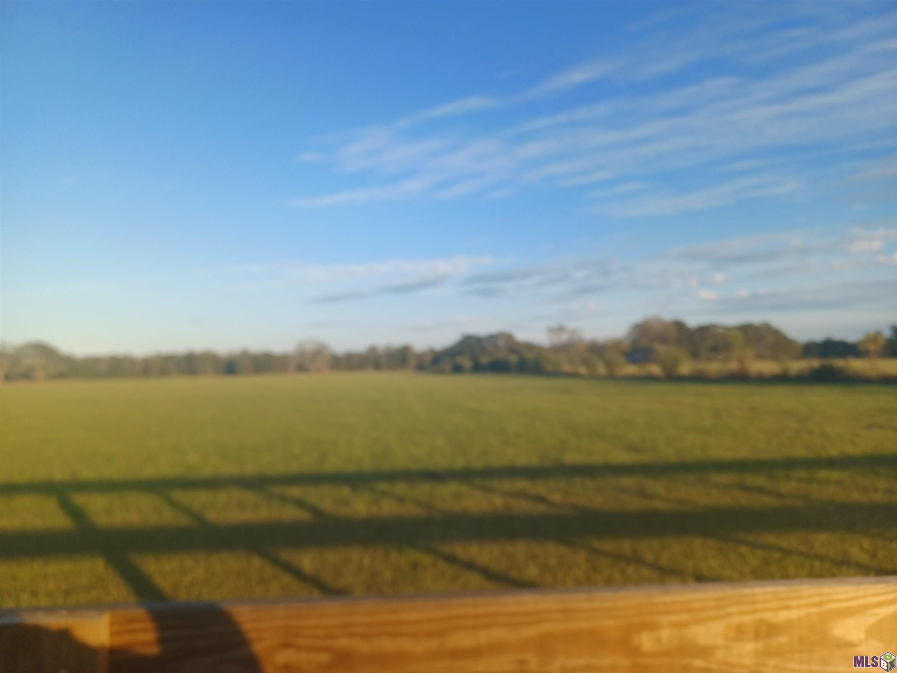 22040 Plank Road Zachary, LA 70791 - Photo 2 of 6 22040 PLANK RD