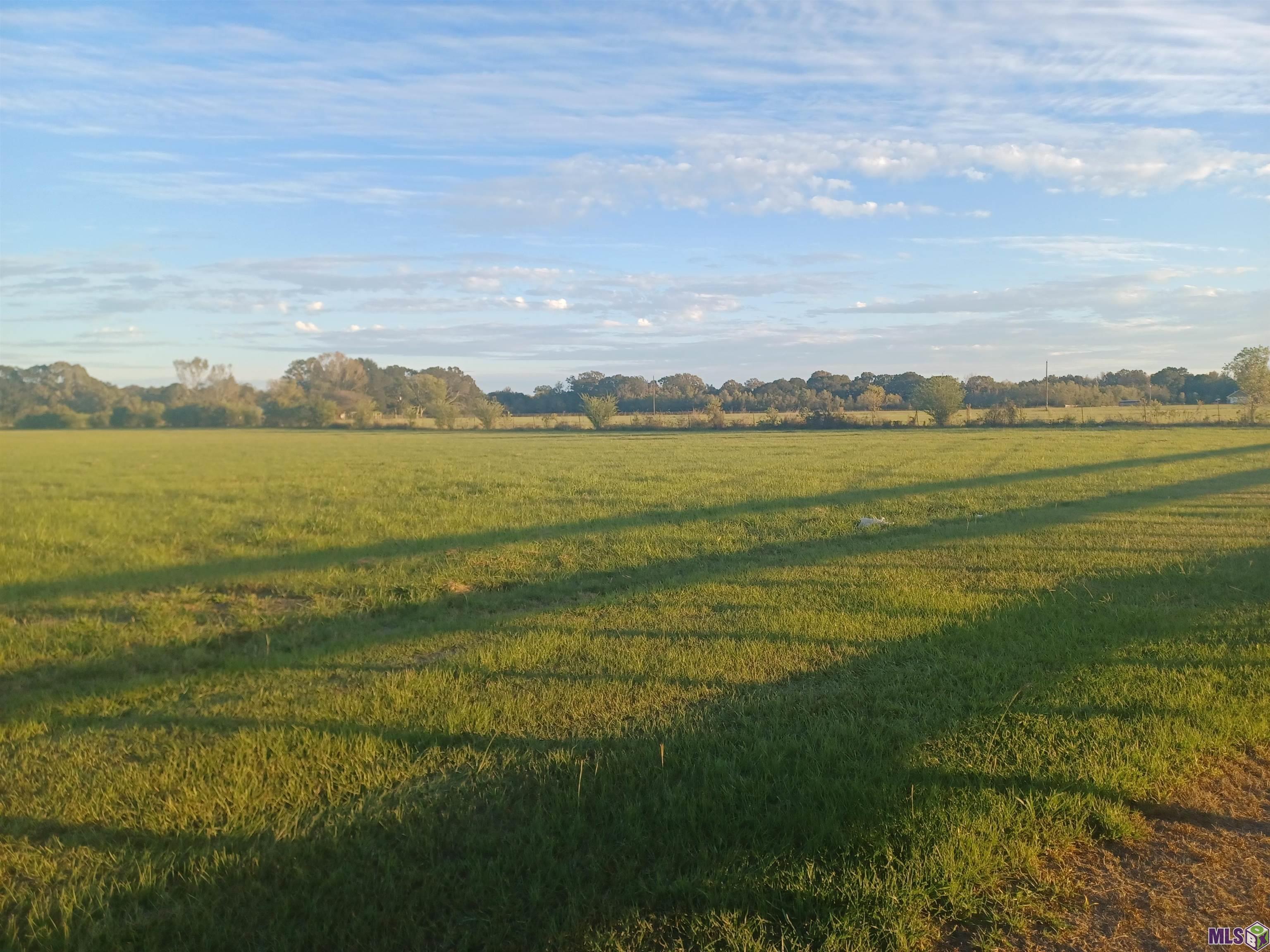 22040 Plank Road Zachary, LA 70791 - Photo 3 of 6 22040 PLANK RD