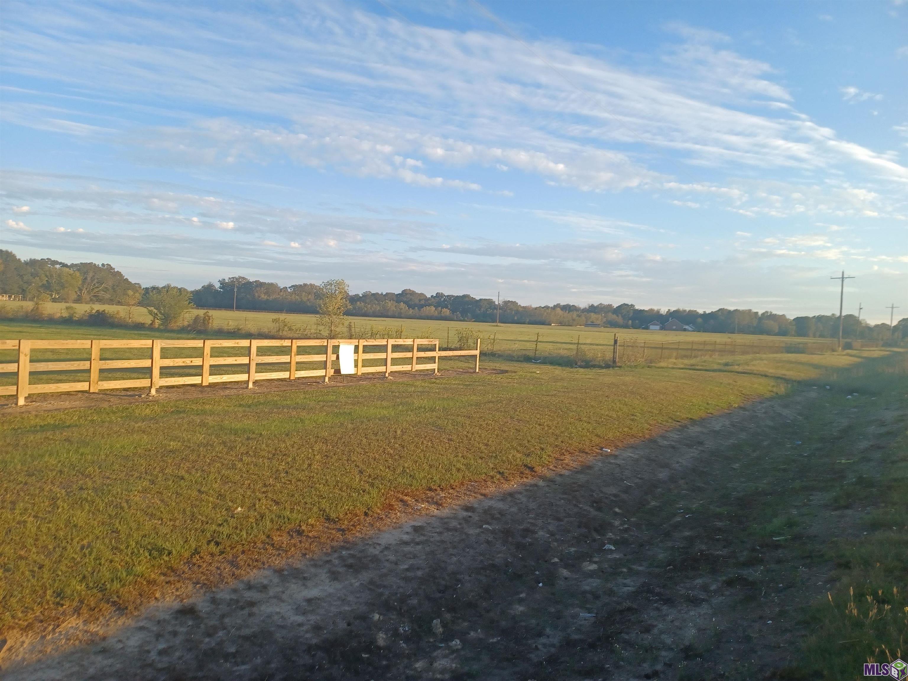 22040 Plank Road Zachary, LA 70791 - Photo 5 of 6 22040 PLANK RD