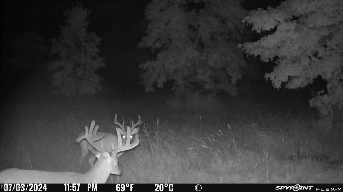 North Star Road Pleasant City, OH 43772 - Photo 38 of 42 TrailCam