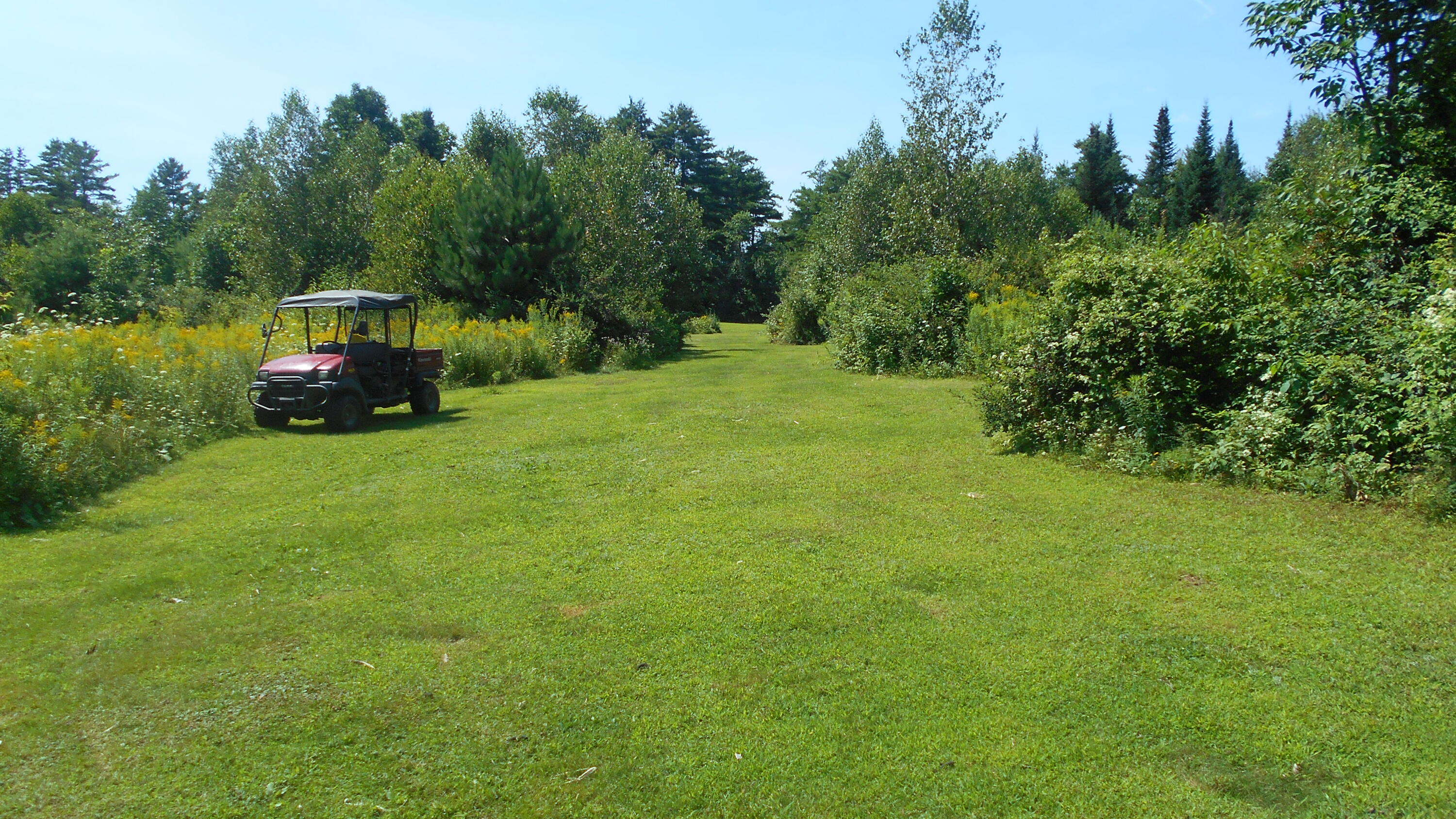 127 Palmer Road Newport, ME 04953 - Photo 37 of 40 37