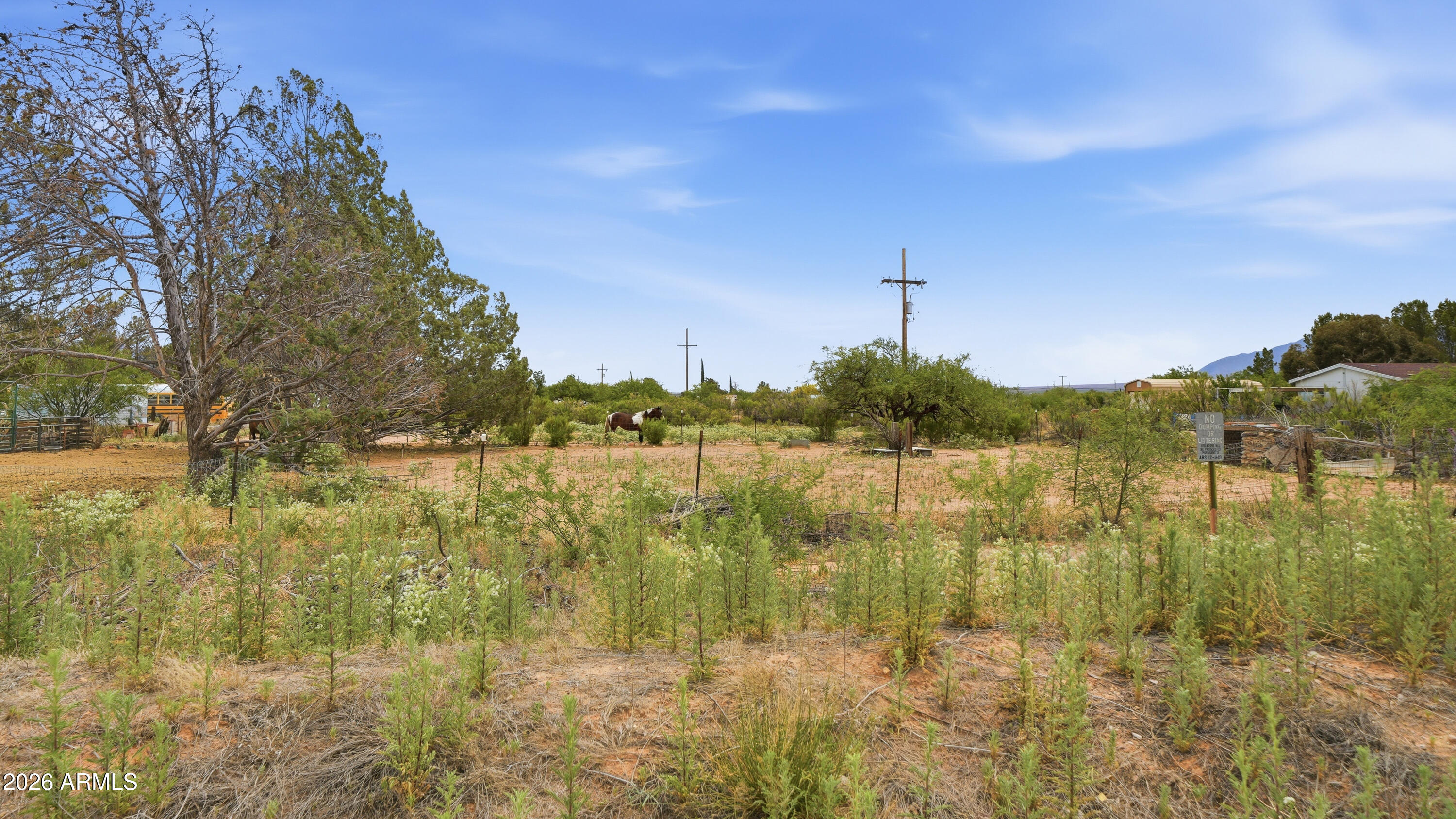 10193 South Rainbow Ranch Road Hereford, AZ 85615 - Photo 25 of 29