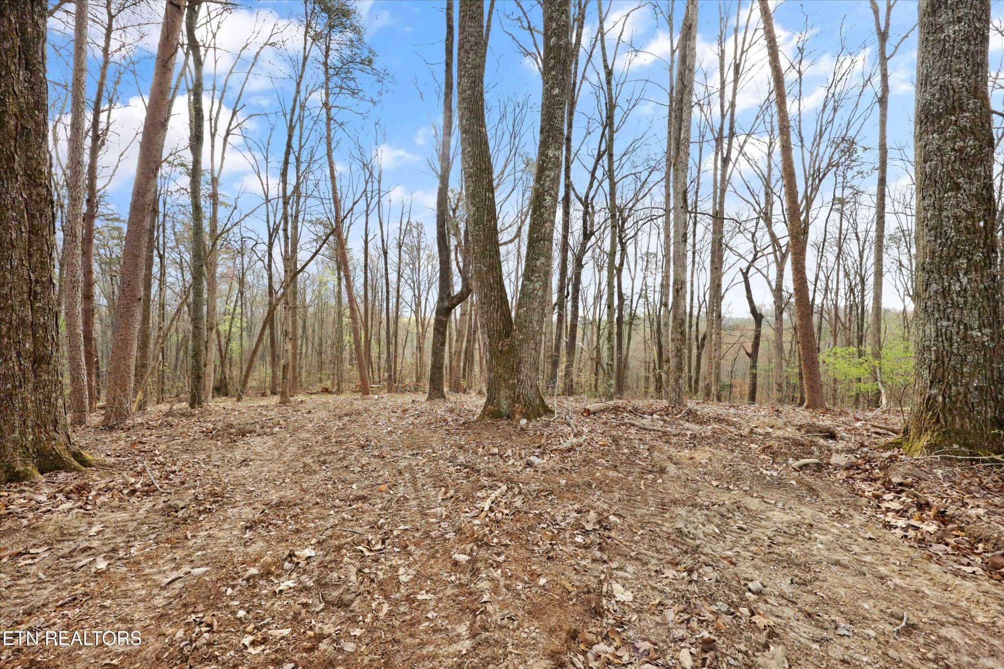 0 Pleasant View Loop Clinton, TN 37716 - Photo 4 of 12