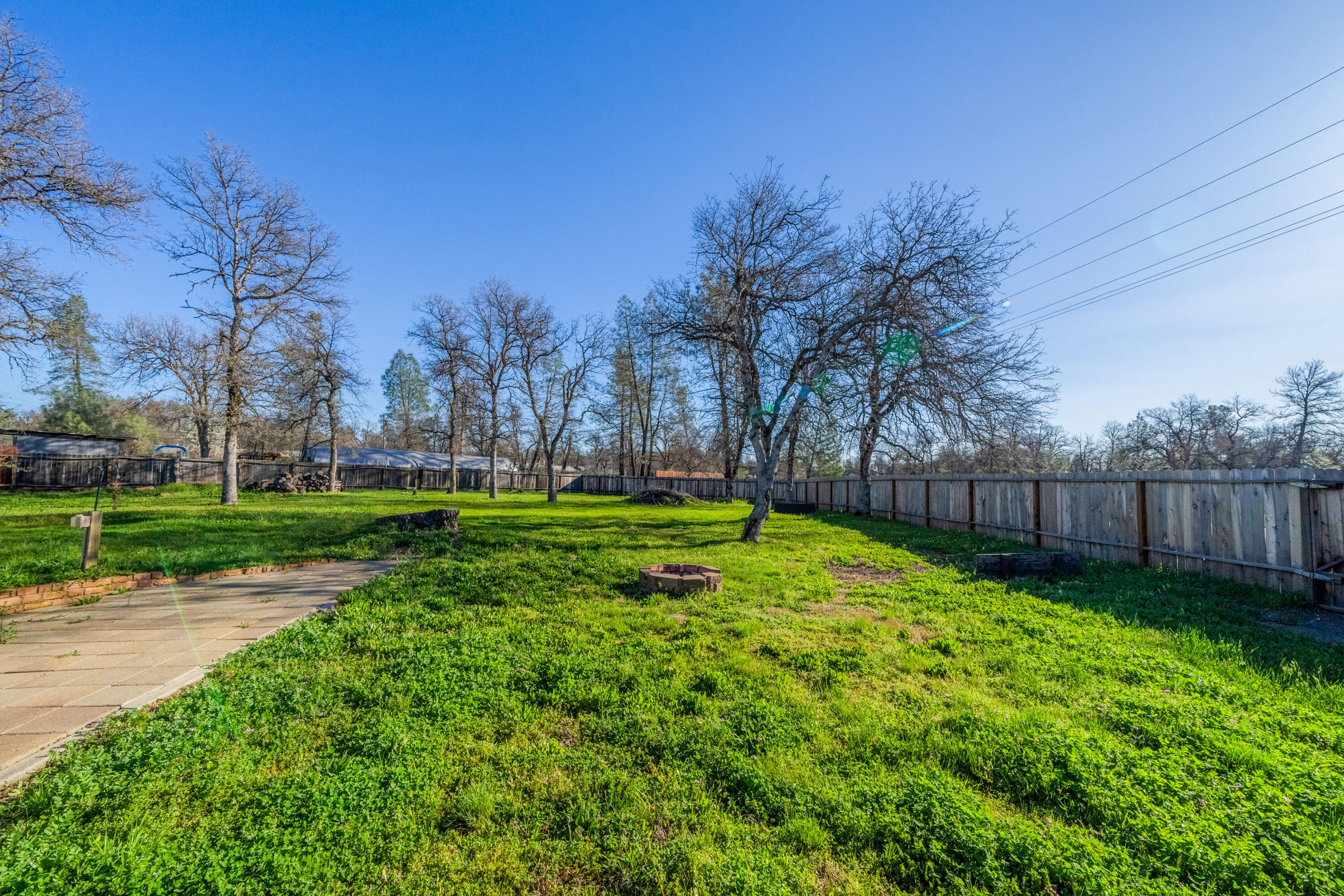 12161 Randolph Road Redding, CA 96003 - Photo 21 of 37 a view of backyard with palm trees