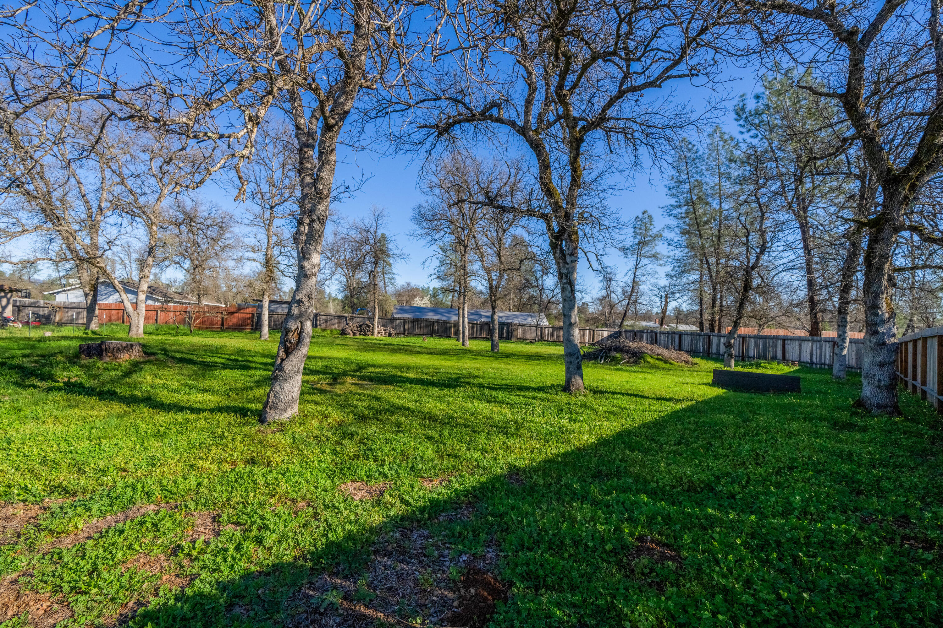 12161 Randolph Road Redding, CA 96003 - Photo 23 of 37 a view of a park with tree s