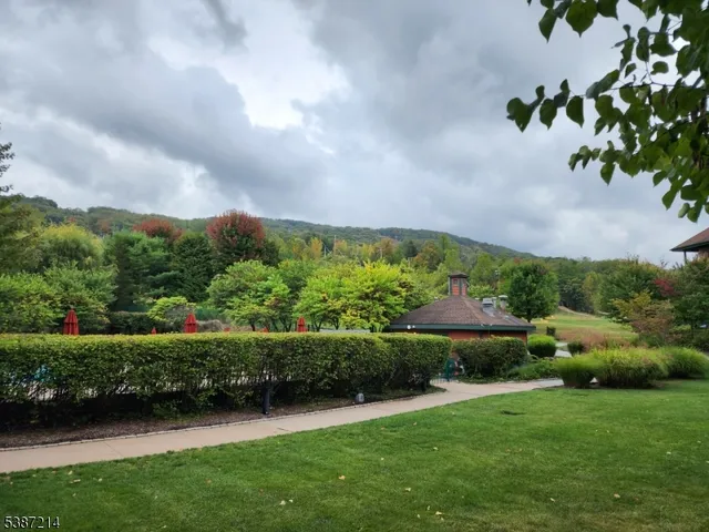 a view of a garden with plants and large trees