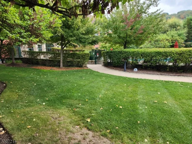 a view of a backyard with large trees