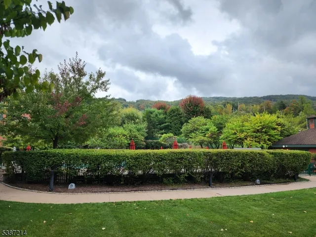 a view of a garden with large trees