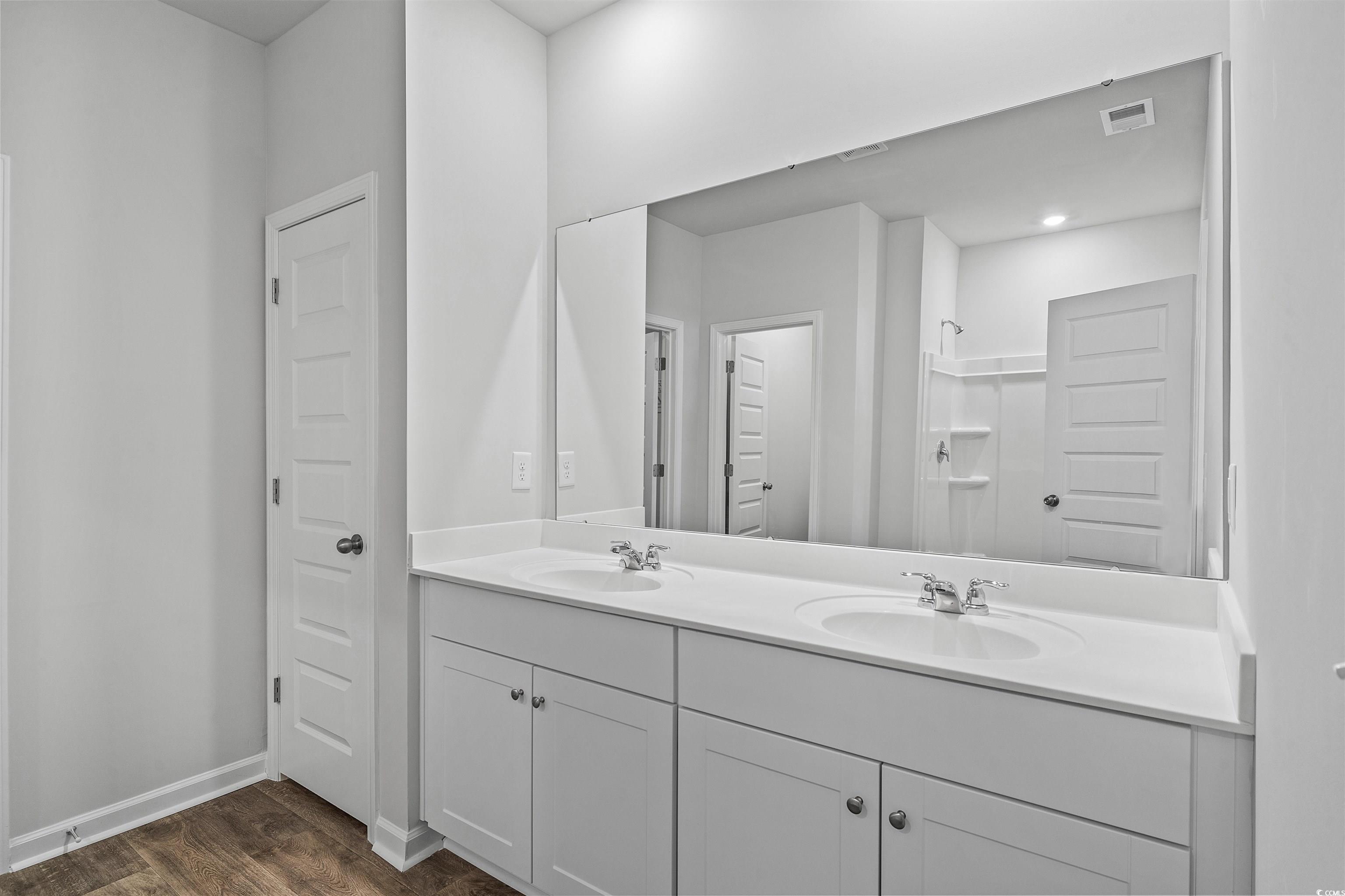 419 Ribbon Rail Way Loris, SC 29569 - Photo 20 of 32 Bathroom with vanity, hardwood / wood-style floori