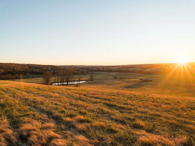 $11,995,000 | 6421 Pinewood Road, Nunnelly, TN 37137