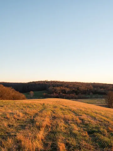 $11,995,000 | 6415 Pinewood Road, Nunnelly, TN 37137