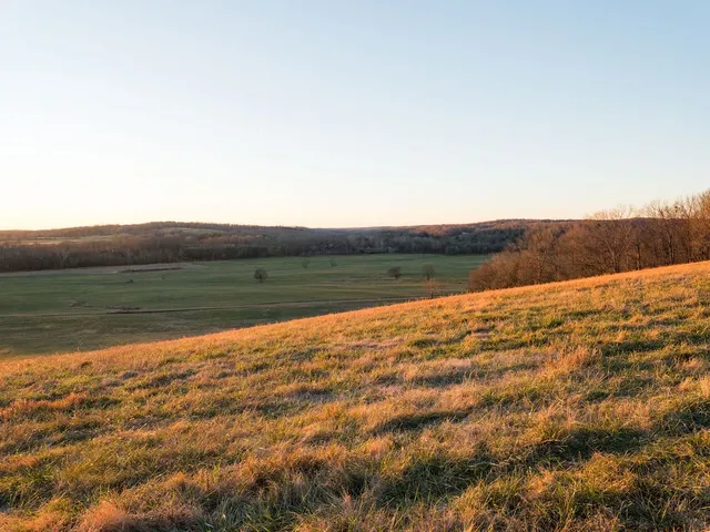 $11,995,000 | 6415 Pinewood Road, Nunnelly, TN 37137