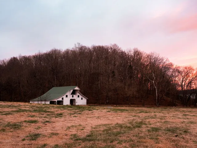 $11,995,000 | 6415 Pinewood Road, Nunnelly, TN 37137