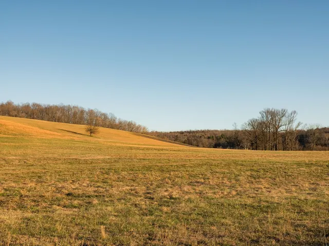 $11,995,000 | 6415 Pinewood Road, Nunnelly, TN 37137