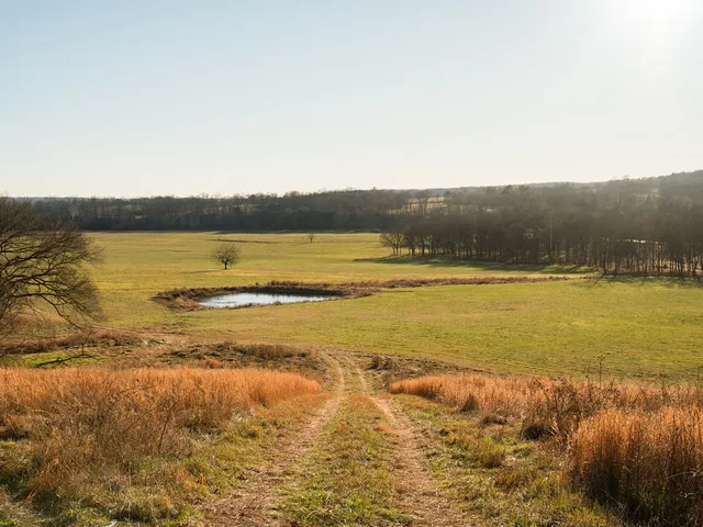 $11,995,000 | 6415 Pinewood Road, Nunnelly, TN 37137