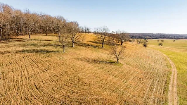 $11,995,000 | 6415 Pinewood Road, Nunnelly, TN 37137