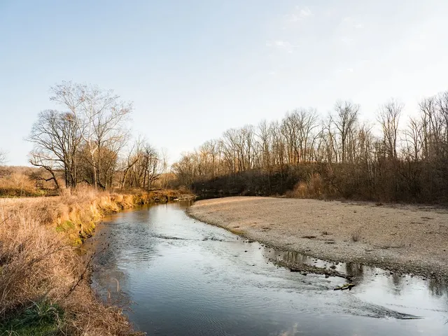 $11,995,000 | 6415 Pinewood Road, Nunnelly, TN 37137