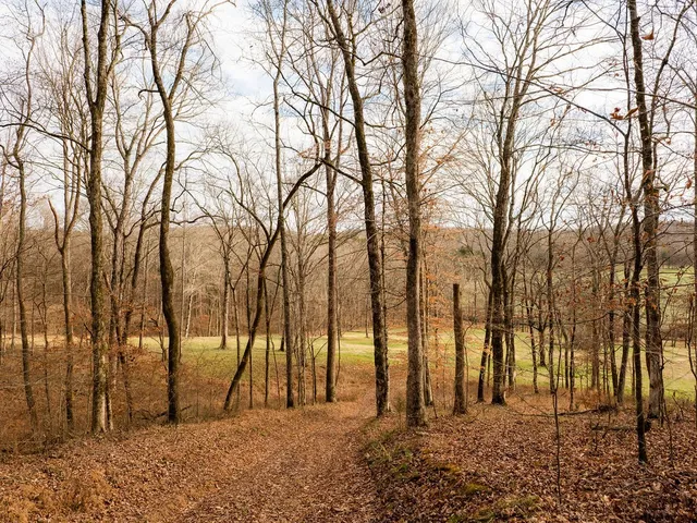 $11,995,000 | 6415 Pinewood Road, Nunnelly, TN 37137