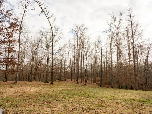 $11,495,000 | 6415 Pinewood Road, Nunnelly, TN 37137