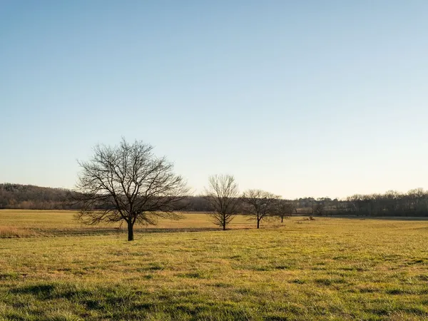 $11,495,000 | 6415 Pinewood Road, Nunnelly, TN 37137