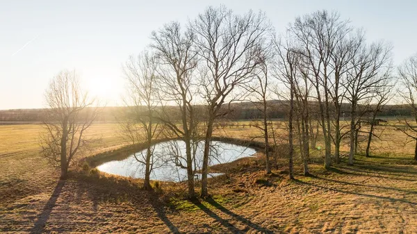 $11,495,000 | 6415 Pinewood Road, Nunnelly, TN 37137