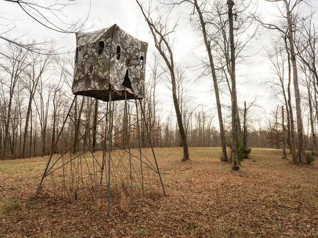 $11,995,000 | 6415 Pinewood Road, Nunnelly, TN 37137