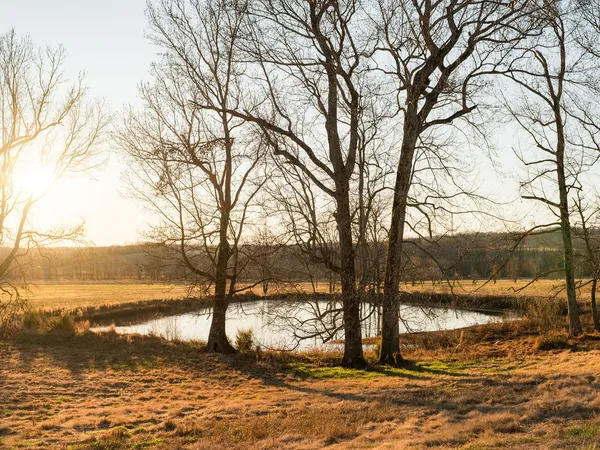 $11,495,000 | 6415 Pinewood Road, Nunnelly, TN 37137