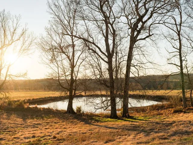 $11,995,000 | 6415 Pinewood Road, Nunnelly, TN 37137