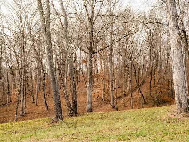 $11,995,000 | 6415 Pinewood Road, Nunnelly, TN 37137