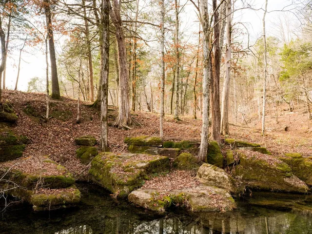 $11,995,000 | 6415 Pinewood Road, Nunnelly, TN 37137