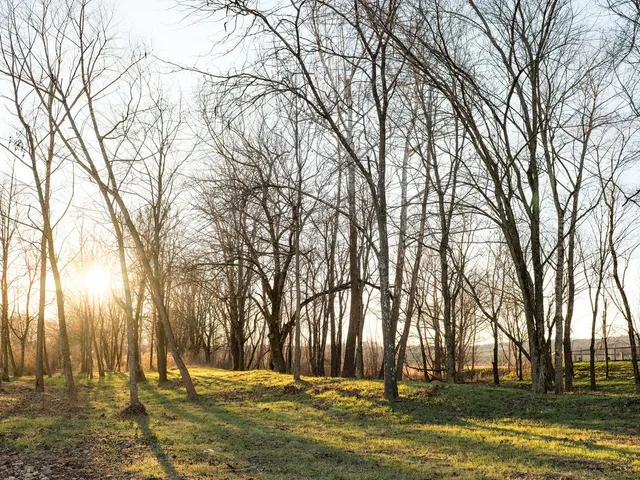 $11,995,000 | 6415 Pinewood Road, Nunnelly, TN 37137