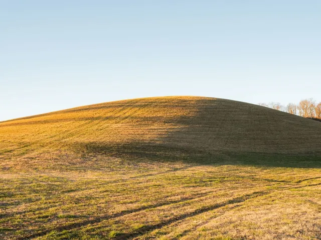 $11,995,000 | 6415 Pinewood Road, Nunnelly, TN 37137