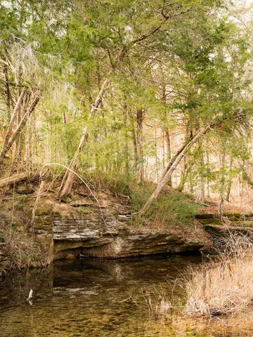 $11,995,000 | 6415 Pinewood Road, Nunnelly, TN 37137