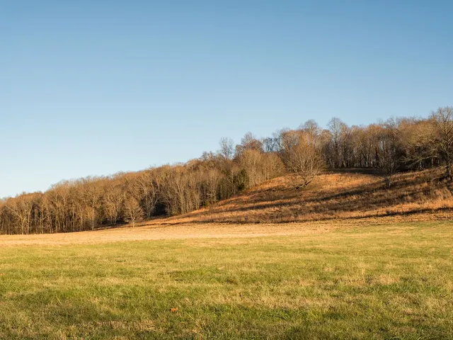 $11,995,000 | 6415 Pinewood Road, Nunnelly, TN 37137