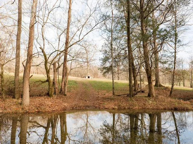 $11,995,000 | 6415 Pinewood Road, Nunnelly, TN 37137